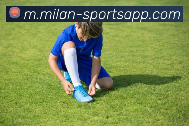 App Interface Preview